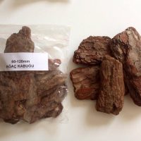 18155420_1255410701242503_232839568_n 18155420_1255410701242503_232839568_n